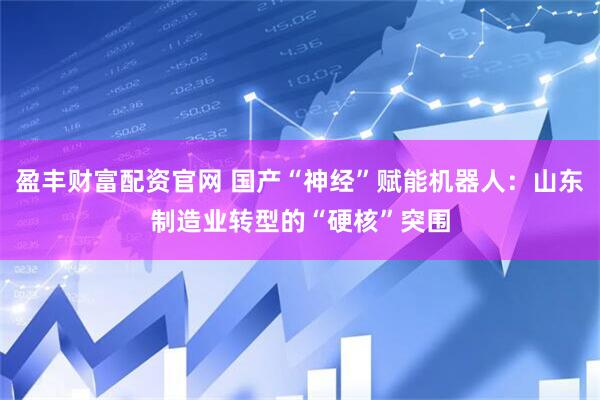 盈丰财富配资官网 国产“神经”赋能机器人：山东制造业转型的“硬核”突围