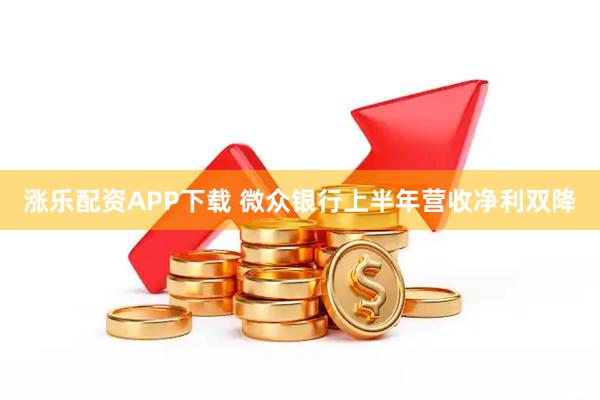 涨乐配资APP下载 微众银行上半年营收净利双降