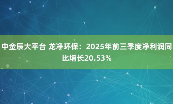 中金辰大平台 龙净环保：2025年前三季度净利润同比增长20.53%